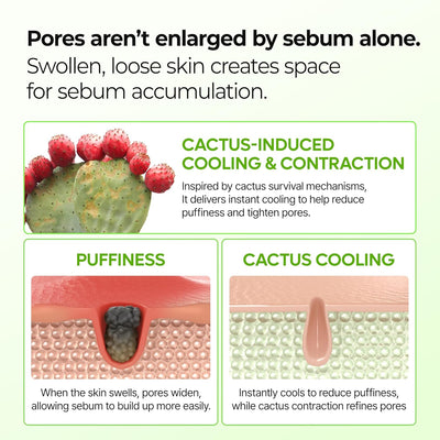 CACTOX™ Pore Relief Multi Balm Stick